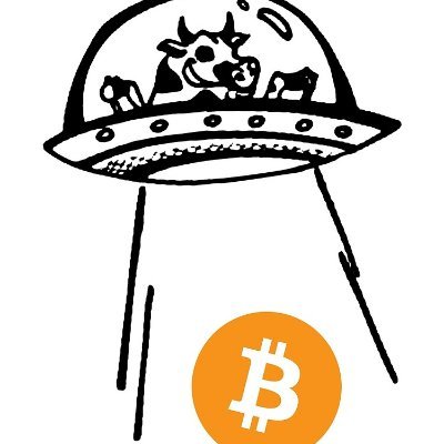 guanqun12's profile picture. MEV, Flashbots, Solidity, Ethereum