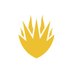 Bryanston Sport (@sportbryanston) Twitter profile photo Bryanston Sport (@sportbryanston) Twitter profile photo