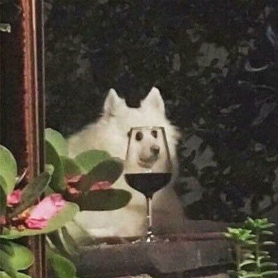 cntrols's profile picture. idk what i’m doing 🪩🏹🤍