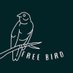 Free Bird (@Free_Bird_Sing) Twitter profile photo