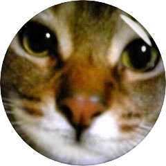 マコッチさんのプロフィール画像