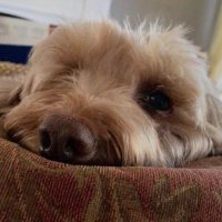 patrick (@mmockk) 's Twitter Profile