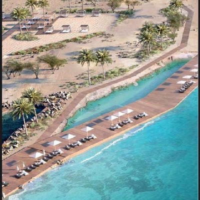 qandil75's profile picture. 