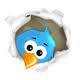 #everydayfollow #teamfollowback #teamfollowwack #500aday
