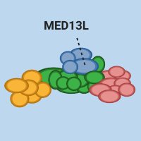 MED13L_UPDATE (@med13l_update) 's Twitter Profile