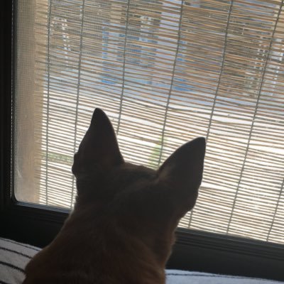 FHtowS2jxGbyiZI's profile picture. 全員を幸せに！ 人間として強くなるためのツイート‼️私は、自分の日常から学んだことをツイートします！もし、人生のプラスになる言葉がある方は、コメント待ってます❗️