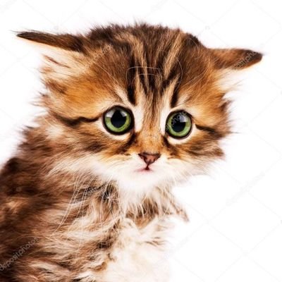 JonesSandrathe's profile picture. 