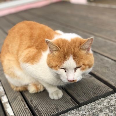 hsntky28's profile picture. 為替、株、少し仮想通貨。