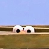 Love98Rose's profile picture. Just an average girl who wants a career in creative writing. My other hobbies includes drawing, and reading.