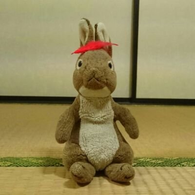 OGYwe8horFwFSuk's profile picture. 21年10月入学　22年６月司書課程修了。