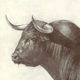 Rootsita1's profile picture. Diosito, cuídame de los tibios mansos, q yo me cuido de los bravos 
Enemigo de los progreshijosdeputitas
 🇻🇪🇻🇪🇻🇪