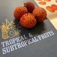 Rare Fruit Society of Florida (RFSF) (@rarefruitsocy) 's Twitter Profile
