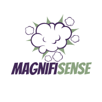 Magnifisense - Full Service Event Agency (@magnifisense5) 's Twitter Profile