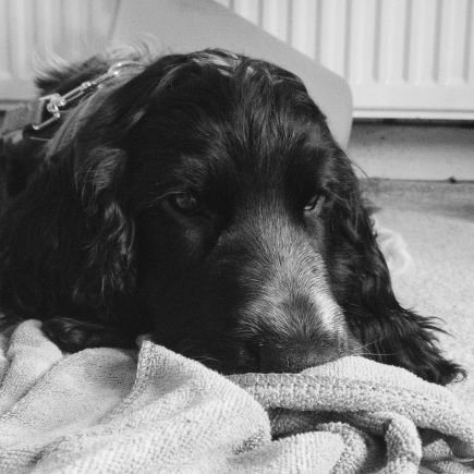 forbeskj74's profile picture. Data and Performance Officer.  Data is my thing!