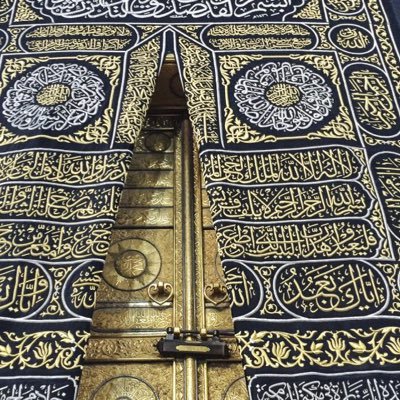 WassimShaar's profile picture. 