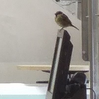 isalagn's profile picture. 