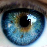 MarcosLab_UR (@marcoslabur) 's Twitter Profile Photo MarcosLab_UR (@marcoslabur) 's Twitter Profile Photo