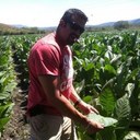 Willy Herrera - @herreraesteli - Twitter