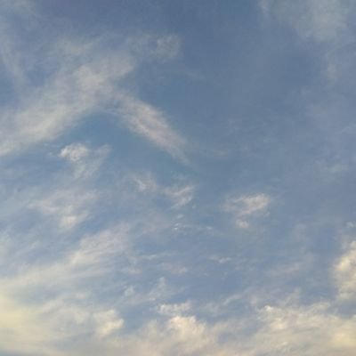 azouever2021's profile picture. 喜欢打篮球 写代码的