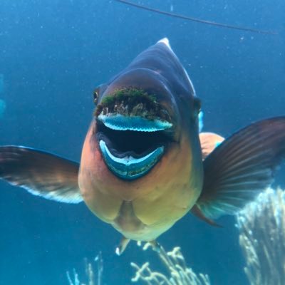 warwickhuntbda's profile picture. 