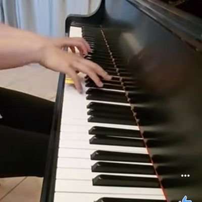 Composer/ Pianist/Artist.