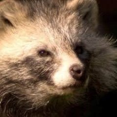 TechnicalSock's profile picture. 