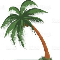 🌴Pacific Migration Partners🌴 (@pacificmigrant) 's Twitter Profile