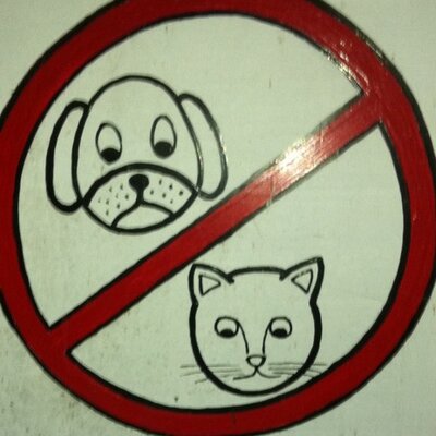 Shuraru ｸﾞﾓｯ ｸﾞﾓｯ ｸﾞﾓｯ ﾁｭｲｰﾝ ｸﾞﾓｯ ﾁｭｲｰﾝﾁｭｲｰﾝ