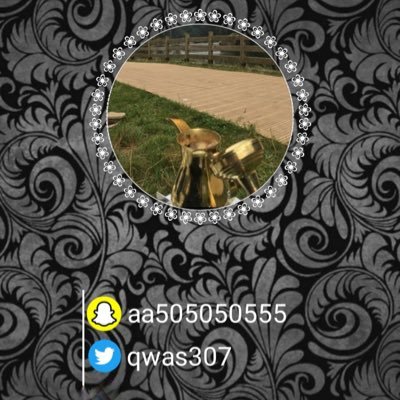 qwas307 Profile Picture