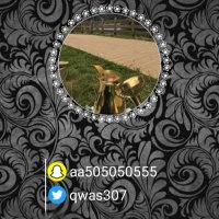 asasas (@qwas307) 's Twitter Profile Photo asasas (@qwas307) 's Twitter Profile Photo