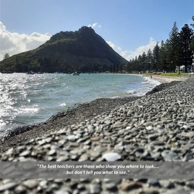 Good_Teacher's profile picture. A philanthropic offering for those interested in, or involved in education. No ads, little editing, no government oversight, diverse content, the writers voices