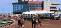 Thoroughbred Racing In Colorado Online Handicapper and Nationally Known Gary Glennon host this season race picks.