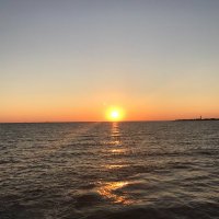 AMY E JOHNSON (@aej58) 's Twitter Profile