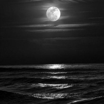 shadow_Wolf189's profile picture. don’t question me plz