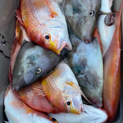 madaradesune's profile picture. お酒、猫好きฅ^._.^ฅ、釣りする人           別垢で→スノボ、スケボ、マウンテンボード @madara_snow