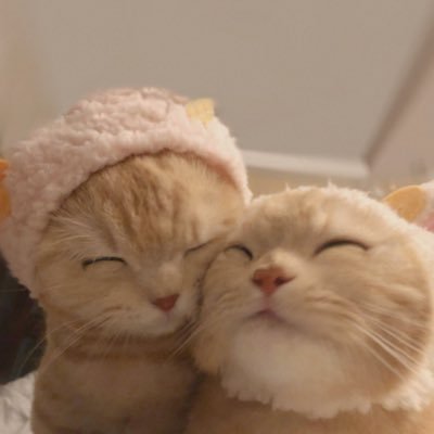 M4GM4CUBES's profile picture. moved to @/FA1RYHYUKAII