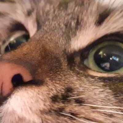 Ishaさんのプロフィール画像