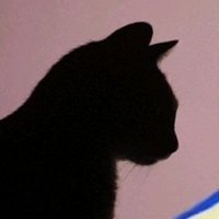  (@sonical_) 's Twitter Profile Photo (@sonical_) 's Twitter Profile Photo