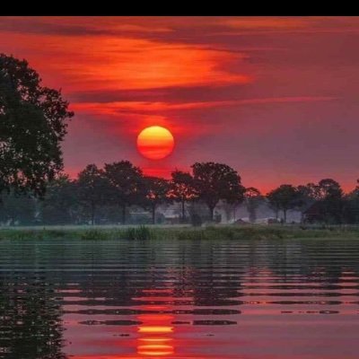 DonAndr56585488's profile picture. 