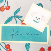 恵 (@megu_sakuranbo) 's Twitter Profile Photo