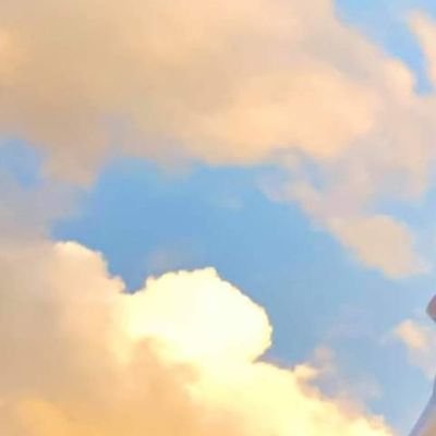 vnllbiolink's profile picture. 