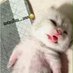Seav Fong (@seavfon53674860) Twitter profile photo Seav Fong (@seavfon53674860) Twitter profile photo