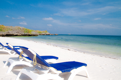 milliesunshineT's profile picture. Interested in assisting holiday makers reach their destination in Africa and explore their fantasy