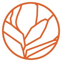 OutsideOpinion (@outsideopinion1) 's Twitter Profile