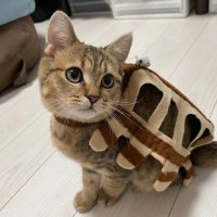 zyk (@lulu031216) 's Twitter Profile