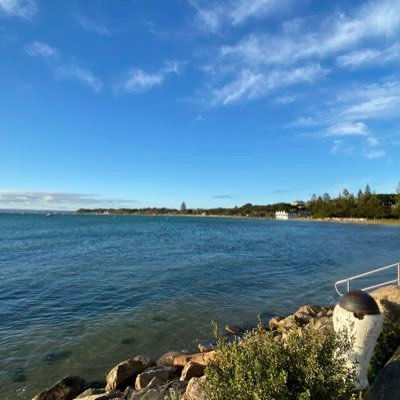 LouzadoViv's profile picture. 