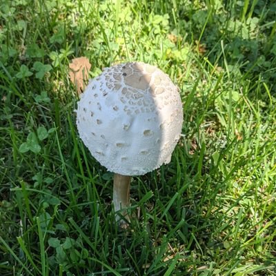 ftwzone's profile picture. 