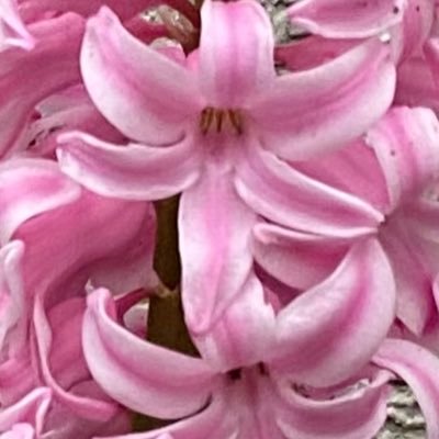 m_c_no_563's profile picture. 