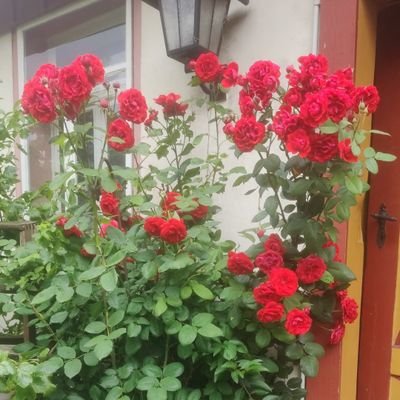 Fun4all42859329's profile picture. 