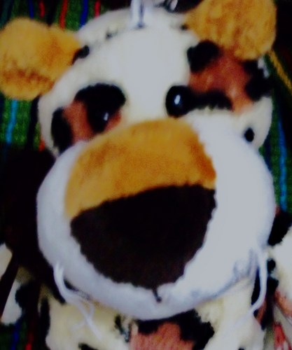 eu sei td, sei mais coisas que td mundo, sou até vidente ((: